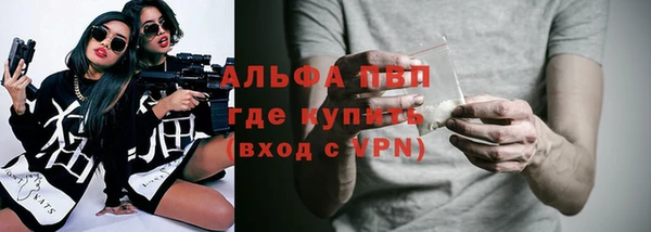 твердый Богданович