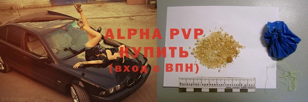 твердый Богданович