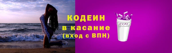 хмурый Богородицк