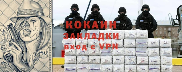 твердый Богданович