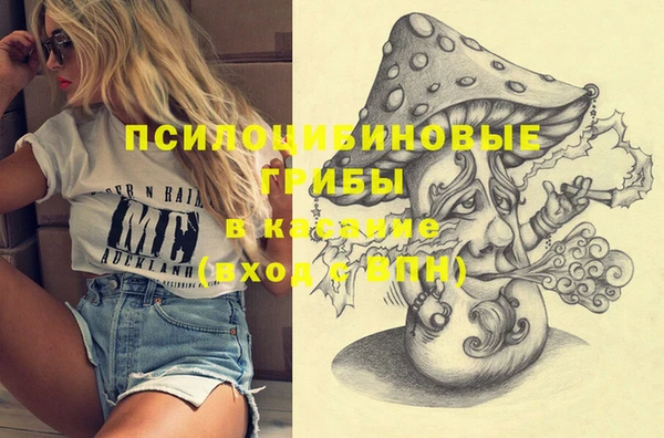 твердый Богданович
