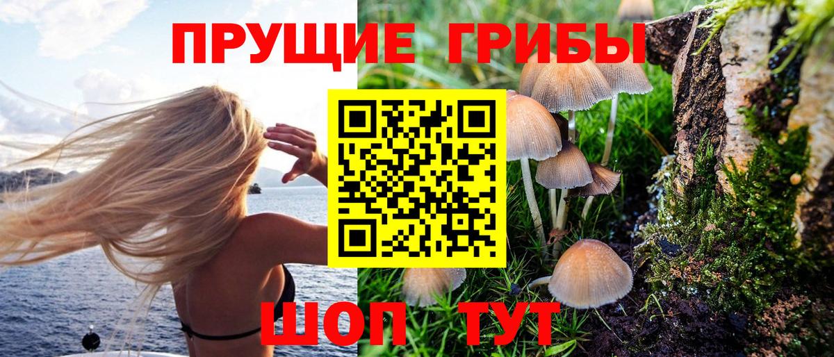 Псилоцибиновые грибы MAGIC MUSHROOMS  Вход с VPN  Гулькевичи 